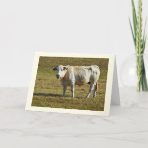 Tarjeta Festiva Vaca Aquitania rubia