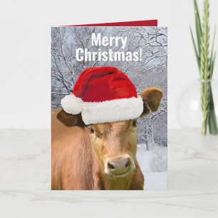 Tarjeta Festiva Vaca con sombrero de Santa - Feliz Navidad, Feliz