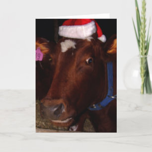 Tarjeta Festiva Vaca de Santa