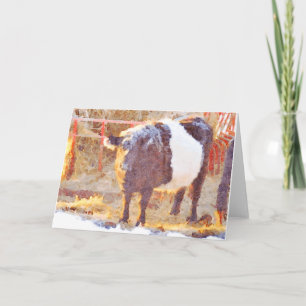 Tarjeta Festiva Vaca Galloway cortada y escarpada en blanco de nie