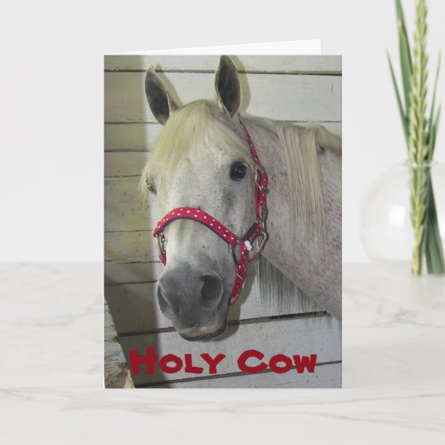 TARJETA FESTIVA VACA SANTA ***MEROSA NAVIDAD*** (Anverso)