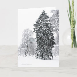 Tarjeta Festiva Vacaciones de invierno en el jardín público de Bos