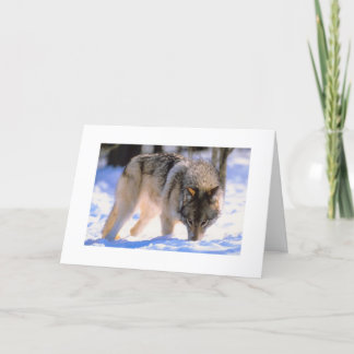 Tarjeta Festiva Vacaciones de nieve para Navidades del lobo de inv