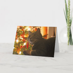 Tarjeta Festiva Vacaciones del Ronroneo-fect del gato de Tabby