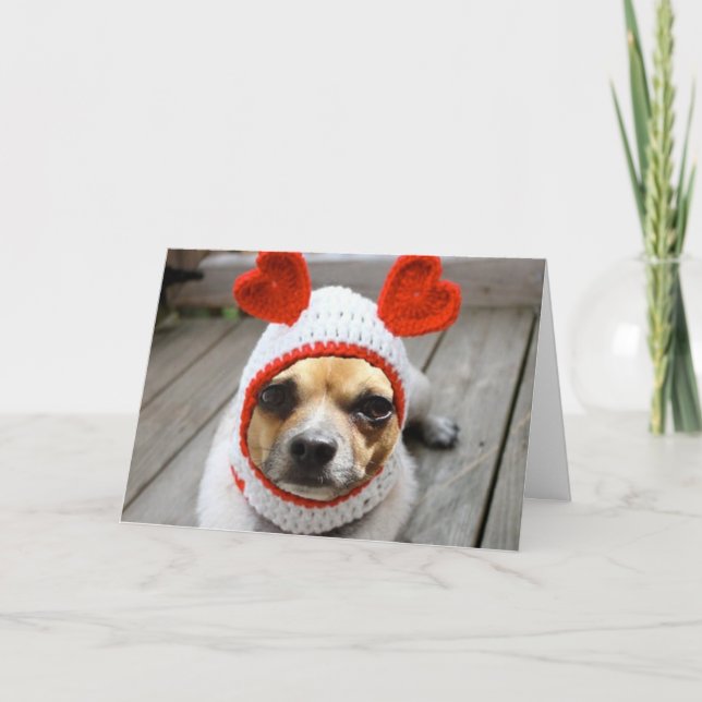 Tarjeta Festiva Valentine Chihuahua (Anverso)
