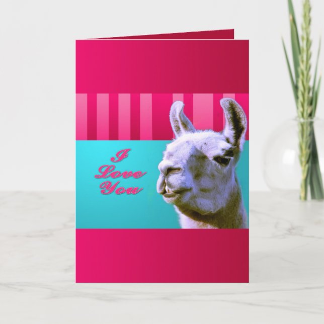 Tarjeta Festiva Valentine llama I love you be mine pink red, turqu (Anverso)