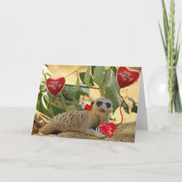 Tarjeta Festiva Valentine Meerkat