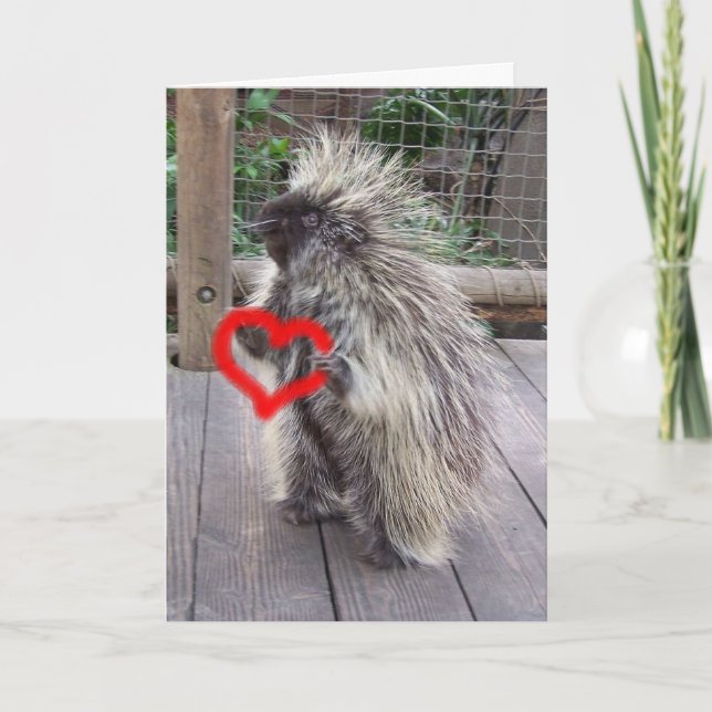 Tarjeta Festiva Valentine Porcupine (Anverso)