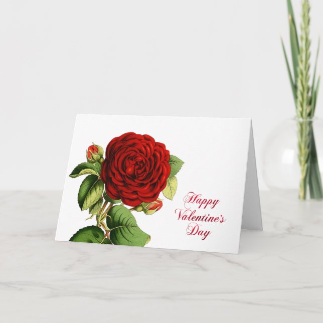 Tarjeta Festiva Valentine Red Rose Watercolor (Anverso)