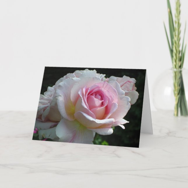 Tarjeta Festiva Valentine Rosa (Anverso)