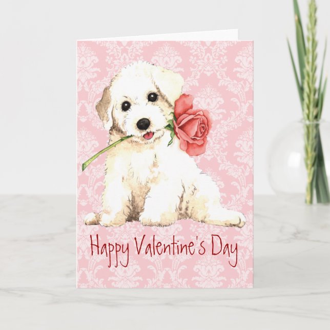 Tarjeta Festiva Valentine Rosa Bichon (Anverso)
