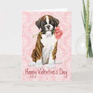 Tarjeta Festiva Valentine Rosa Boxer