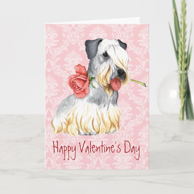 Tarjeta Festiva Valentine Rosa Cesky Terrier (Anverso)