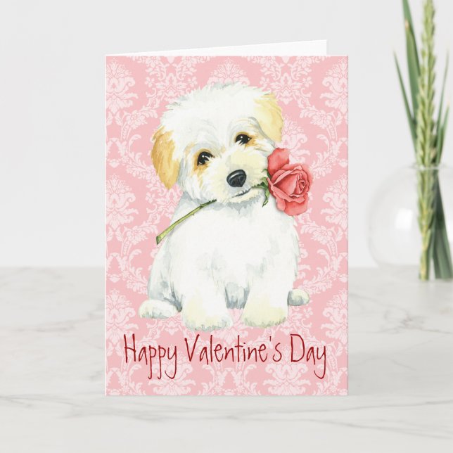 Tarjeta Festiva Valentine Rosa Coton de Tulear (Anverso)