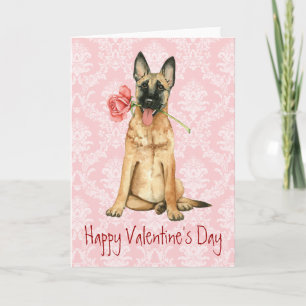 Tarjeta Festiva Valentine Rosa Malinois