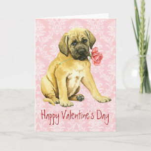 Tarjeta Festiva Valentine Rosa Mastiff