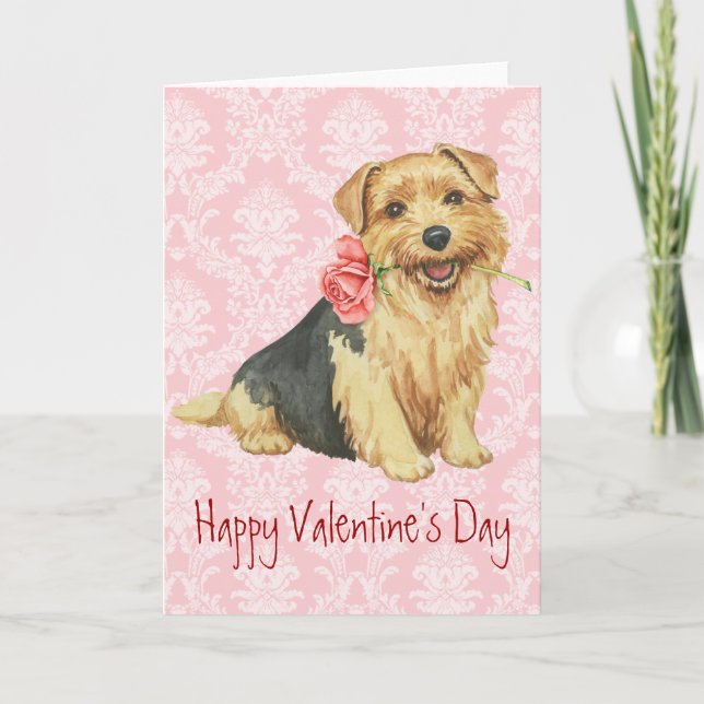 Tarjeta Festiva Valentine Rosa Norfolk Terrier (Anverso)