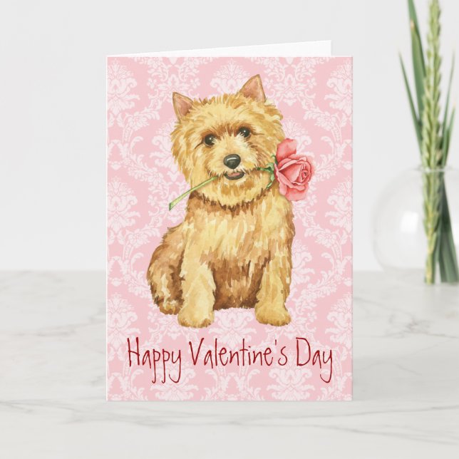 Tarjeta Festiva Valentine Rosa Norwich Terrier (Anverso)