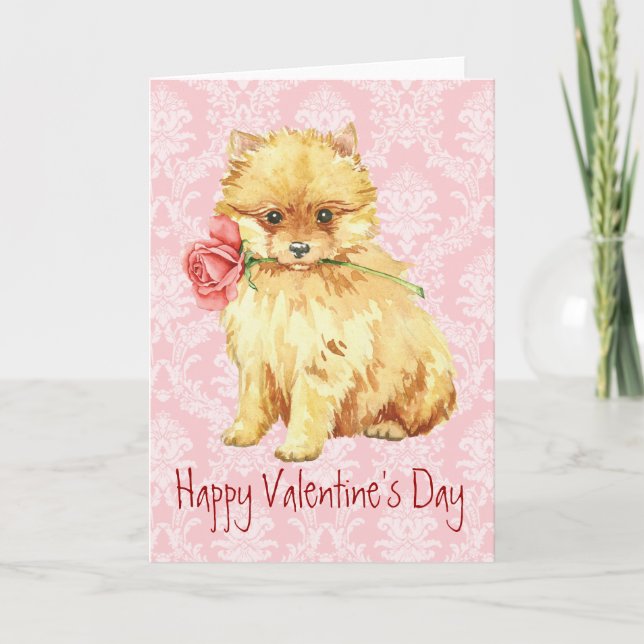 Tarjeta Festiva Valentine Rosa Pomeranian (Anverso)