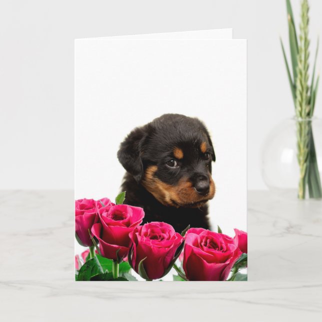 Tarjeta Festiva Valentine Rosa Rottweiler Puppy (Anverso)