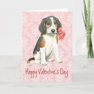 Tarjeta Festiva Valentine Rosa Treeing Walker Coonhound