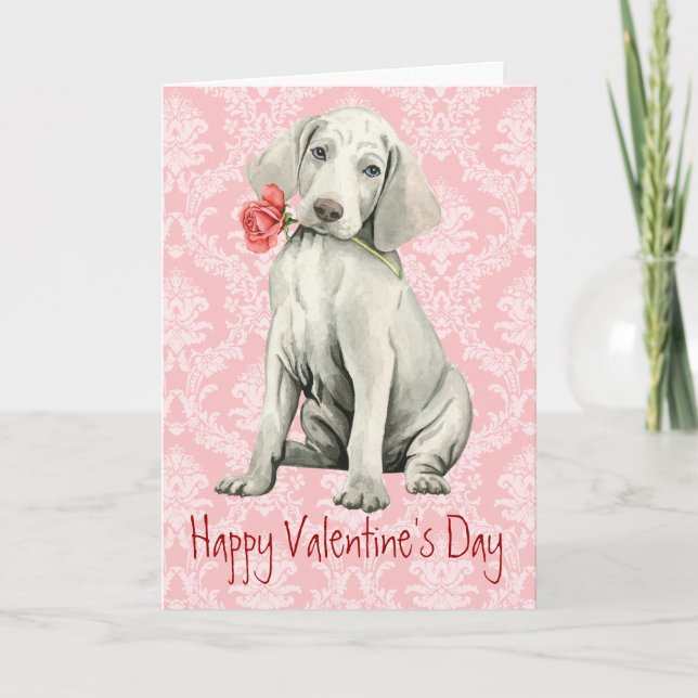 Tarjeta Festiva Valentine Rosa Weimaraner (Anverso)