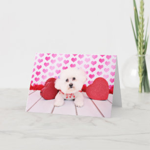 Tarjeta Festiva Valentines - Bichon Frise - Lilly