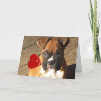 Tarjeta Festiva Valentine's Boxer puppy greeting card