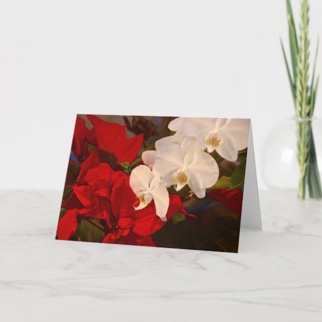 Tarjeta Festiva Vecinos (Anverso)