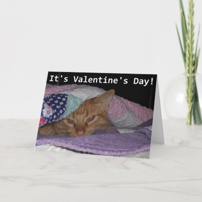 Tarjeta Festiva Ven a acurrucarse a un gato Valentine (Anverso)