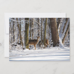 Tarjeta Festiva Venado en Snowy Eagle Creek City Park