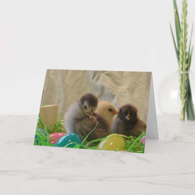 Tarjeta Festiva Verdaderos chichas de Pascua (Anverso)