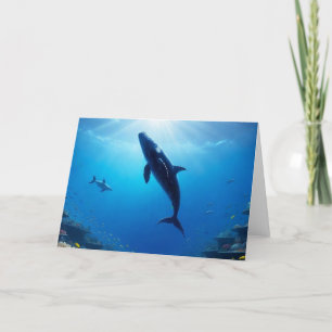 Tarjeta Festiva Viaje del Gentle Giant