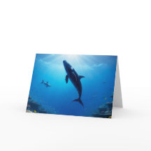 Viaje del Gentle Giant