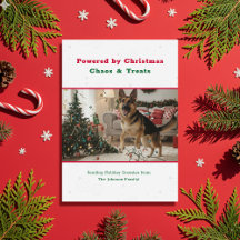 Vintage Humorous Funny Christmas Dog Pet Photo