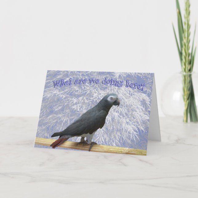 Tarjeta Festiva Volando hacia el sur (Anverso)