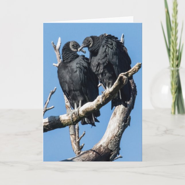 Tarjeta Festiva Vulture Valentine (Anverso)