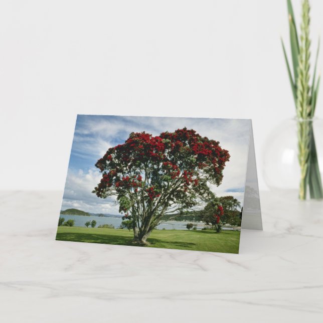 Tarjeta Festiva Waitangi, Árbol de Navidad, flor de Nueva Zelanda (Anverso)
