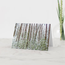 *Walden Pond: Vacaciones- Silencio- Refugio A-Univ