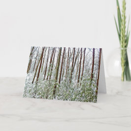 Tarjeta Festiva *Walden Pond: Vacaciones- Silencio- Refugio A-Univ