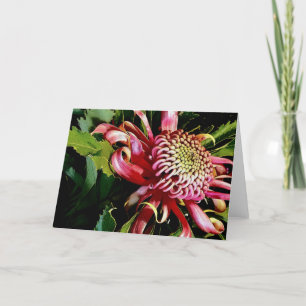 Tarjeta Festiva waratah rojo