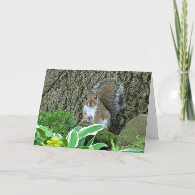 Tarjeta Festiva Wee Princess (Anverso)