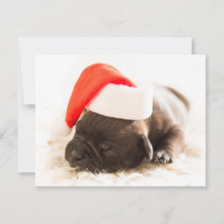 Tarjeta Festiva Weihnachtswelpe
