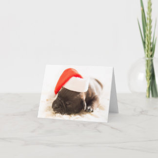 Tarjeta Festiva Weihnachtswelpe