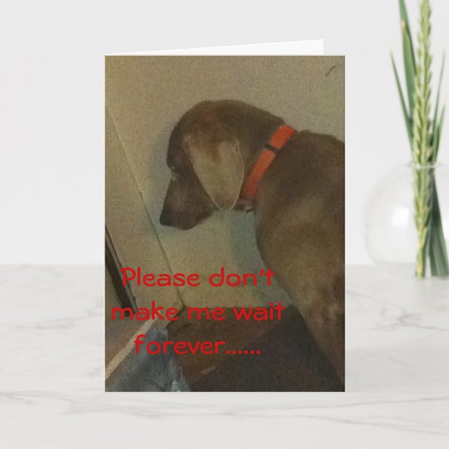Tarjeta Festiva Weimaraner Valentine (Anverso)