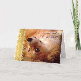 Tarjeta Festiva Welsh Corgi Valentine Mirándote a un chico