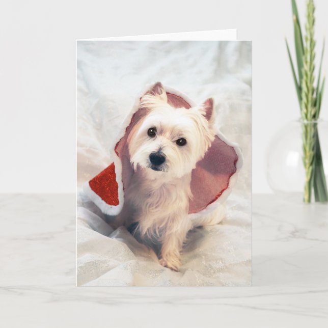 Tarjeta Festiva "Westie Claus" (Anverso)