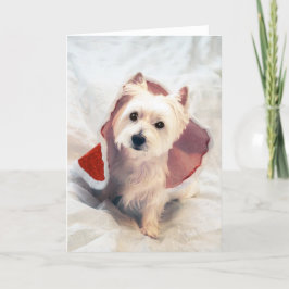 Tarjeta Festiva "Westie Claus"