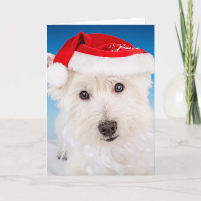 Tarjeta Festiva Westie con Santa Hat y barba (Anverso)