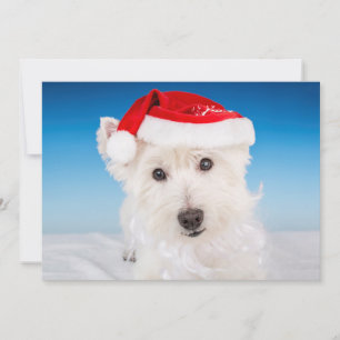 Tarjeta Festiva Westie con Santa Hat y barba